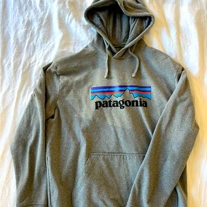 Mens Large Patagonia Hoodie